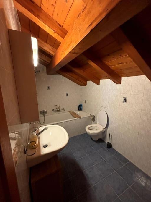 Blonay Swiss Chalet - Mountain And Lake View מראה חיצוני תמונה